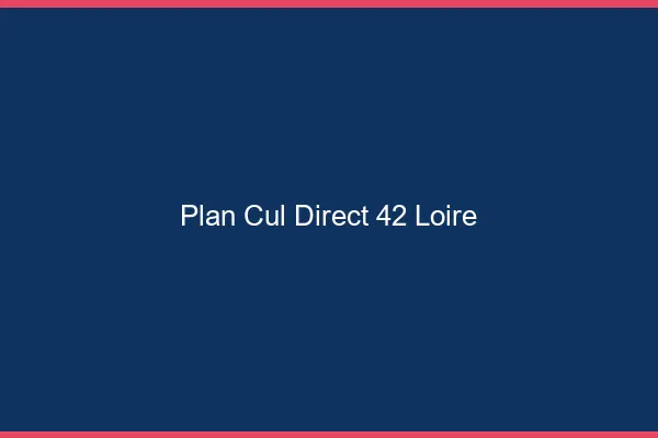 Plan cul direct 42 loire