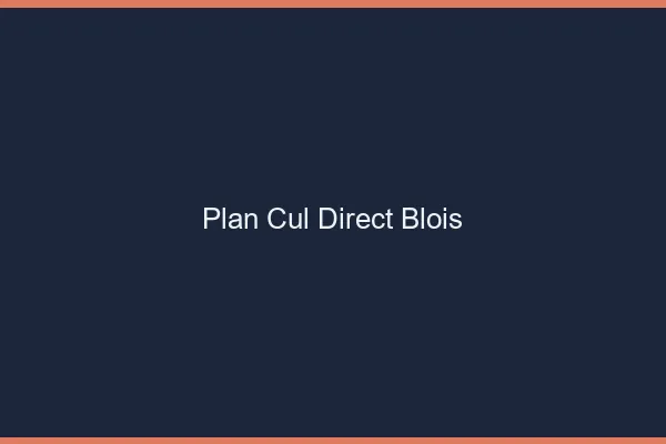 Plan cul direct Blois